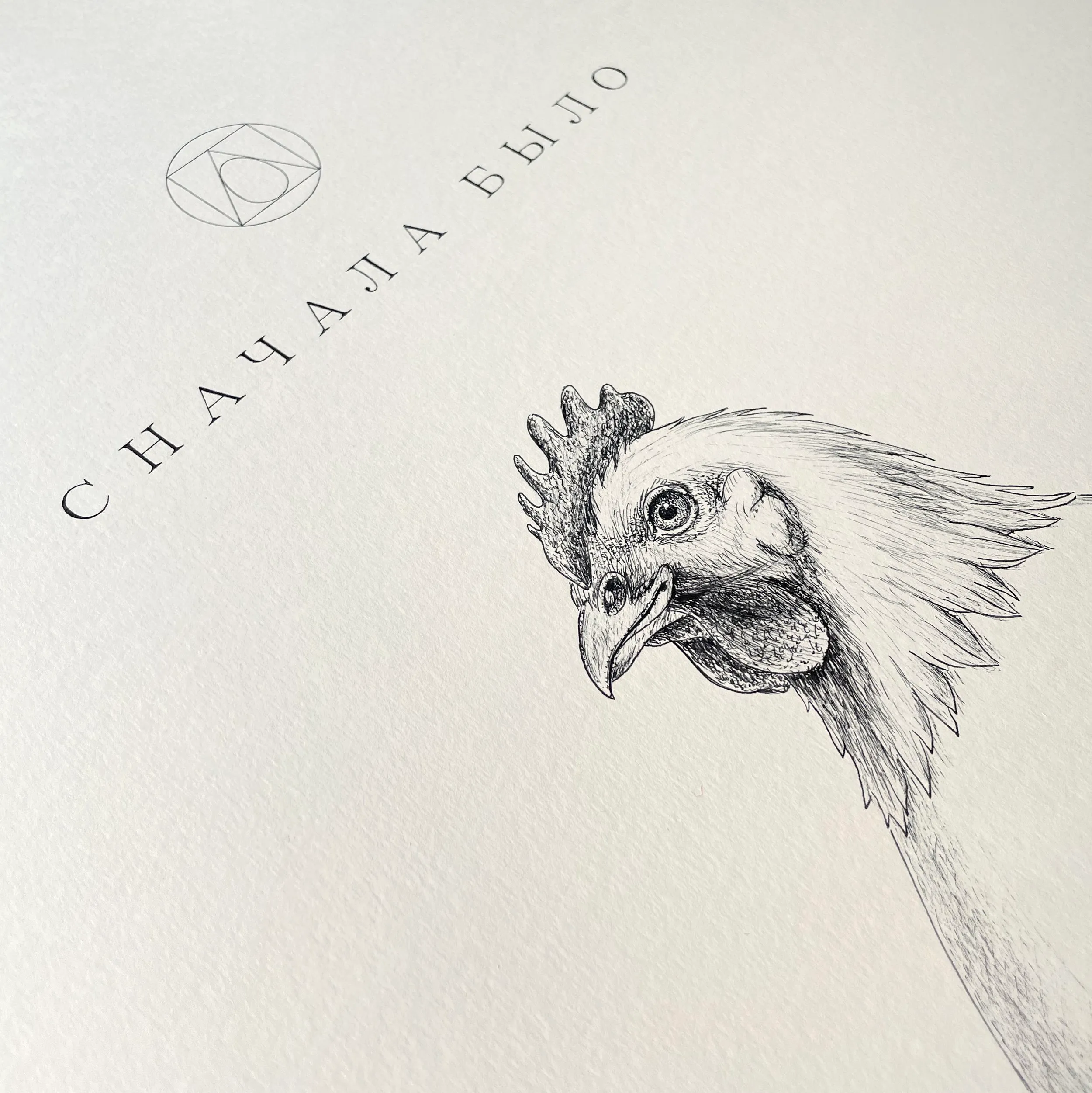№ O-024 / Which came first, the chicken or the egg — Kuritso — photograph 2